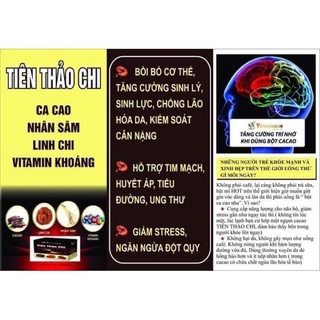 Bột cacao tiên thảo chi