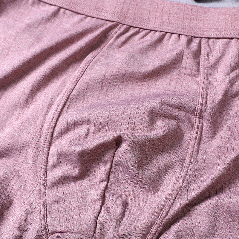 Quần lót nam boxer SF sịp đùi nam NuciFera