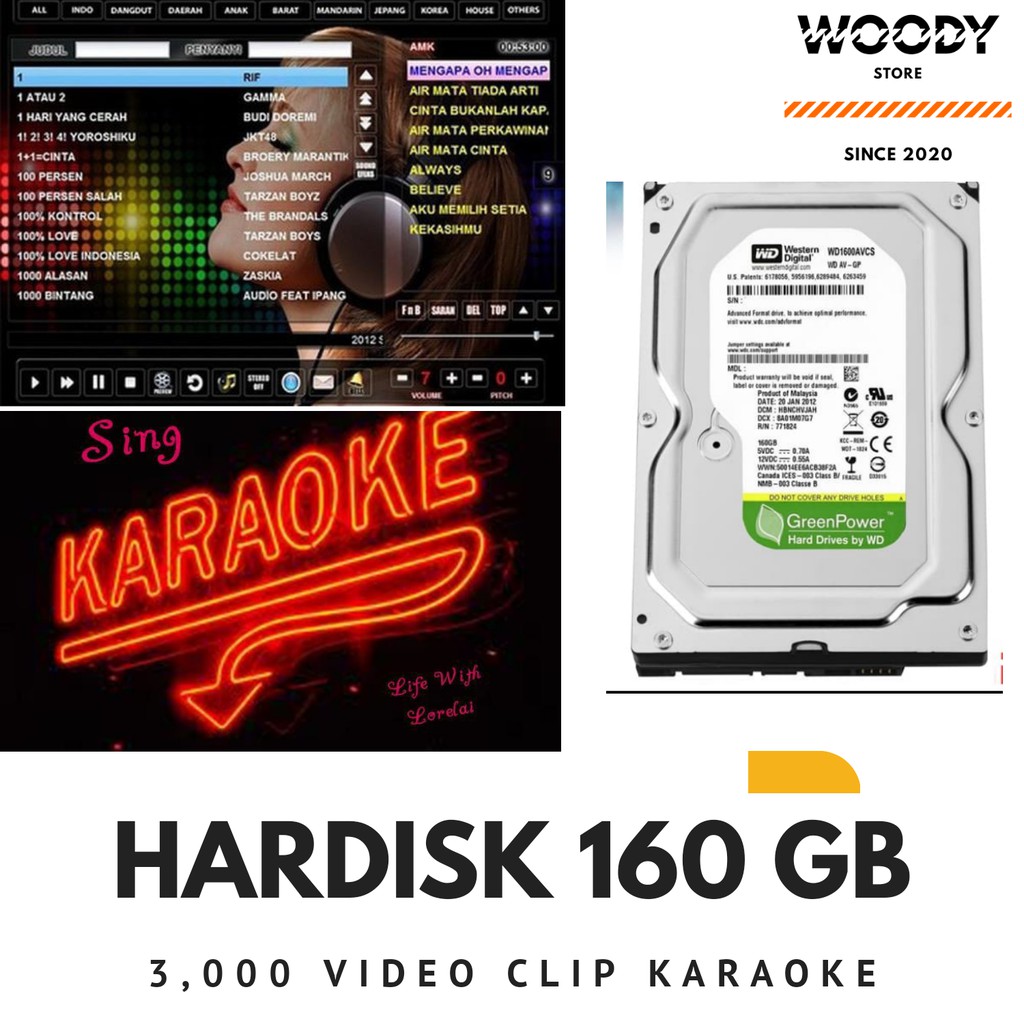 Ổ Cứng Hát Karaoke 160 Gb 3000 | BigBuy360 - bigbuy360.vn