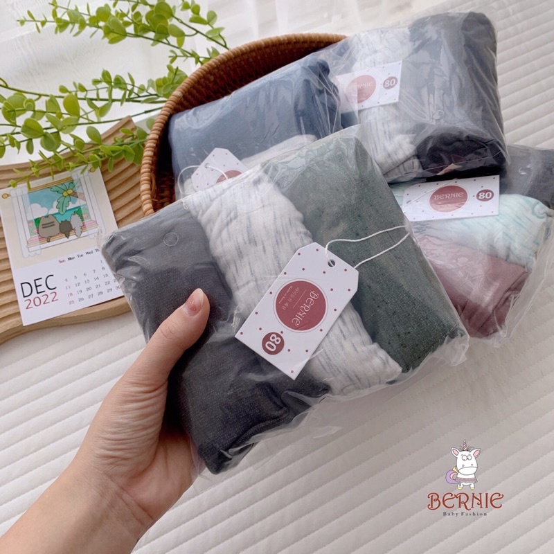 Set 3 quần xuất sooc hè Bernie chất cotton càng cua cao cấp cho bé trai bé gái 8-22kg - 22Q019