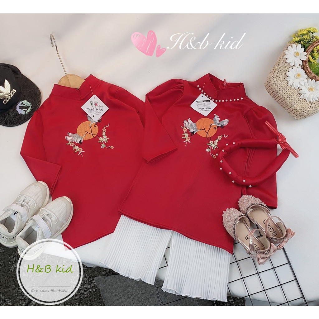 Áo dài lụa bé trai có thêu hình Hạc siêu đẹp cho bé diện tết  ADCT