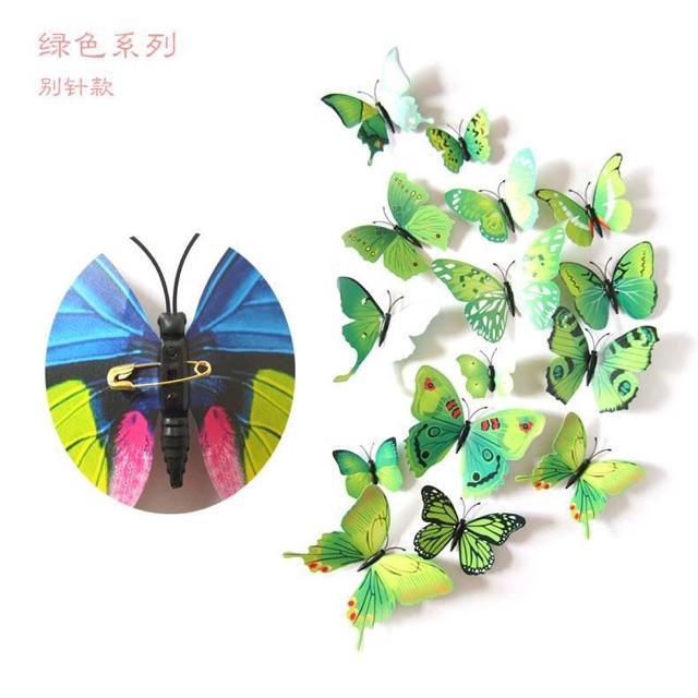 Bộ 12 con bướm lớn nhỏ