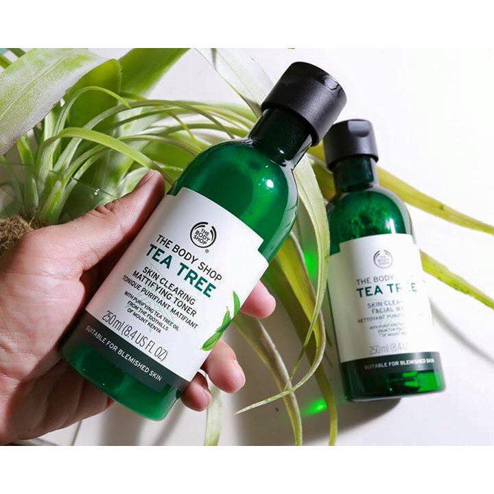 Sữa Tắm Tea Tree Giảm Mụn Lưng The Body Shop Body Wash 250ml ◍Vittorio◍ | BigBuy360 - bigbuy360.vn
