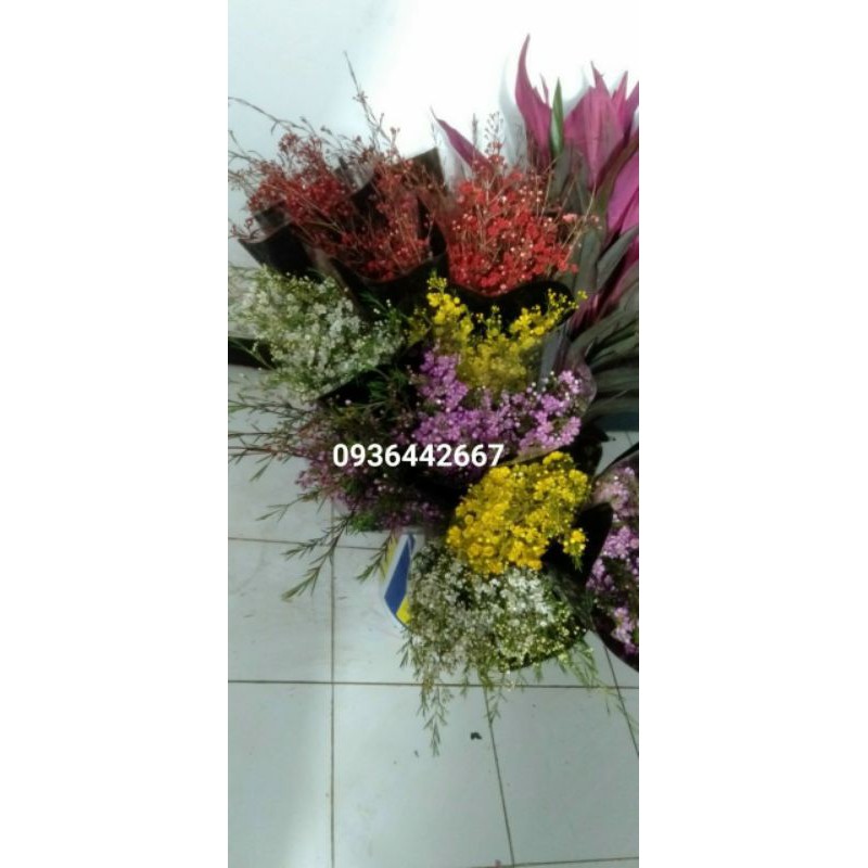 Hoa tươi hoa thanh liễu full màu