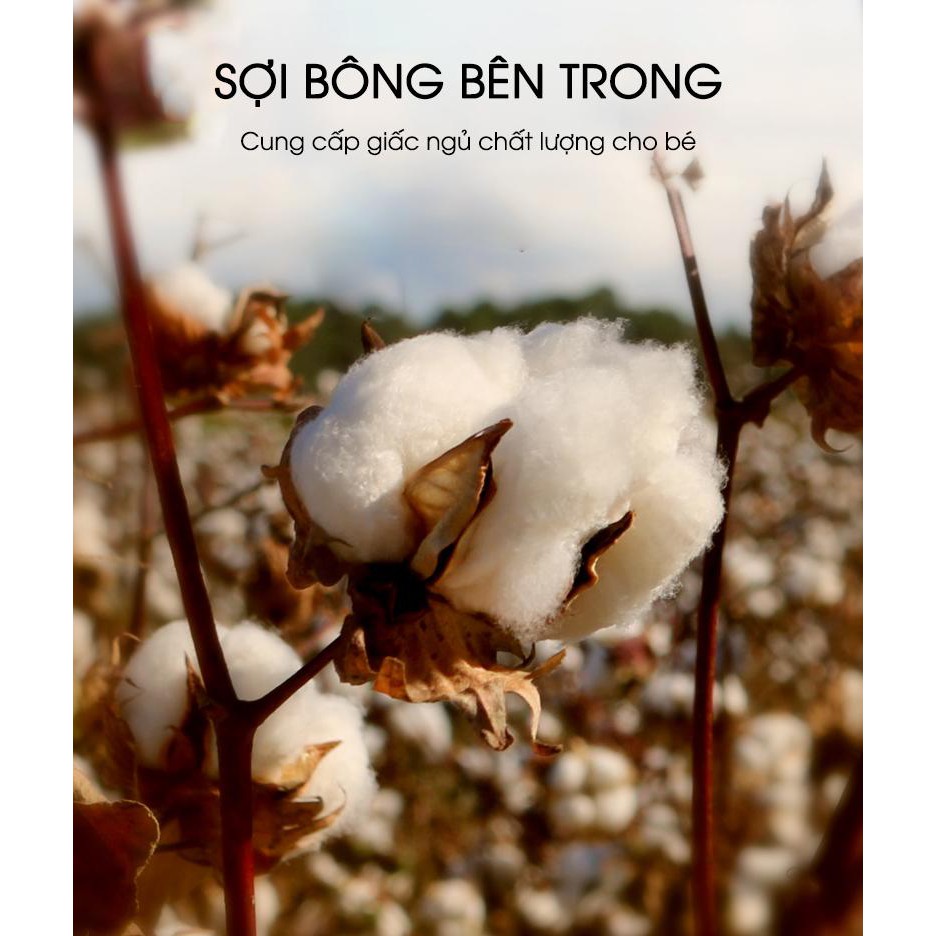 Nệm em bé lót nôi cũi Chilux - Chất liệu cotton - Thoáng mát - Bền, không bị xẹp - Bảo hành 6 tháng