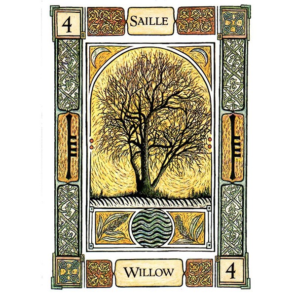 Bộ Bài Celtic Tree Oracle – A System of Divination (Mystic House Tarot Shop)