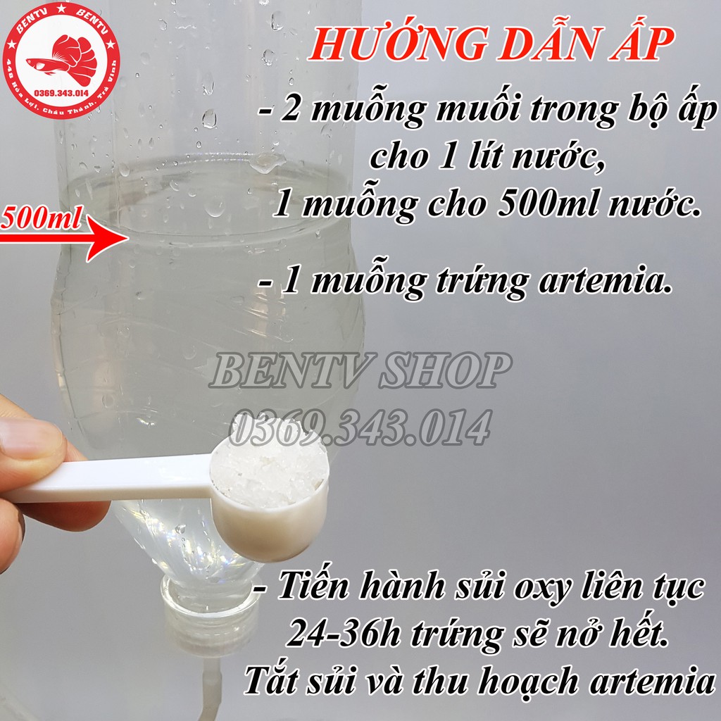 Trứng Artemia Ấp Nở Lon Xanh