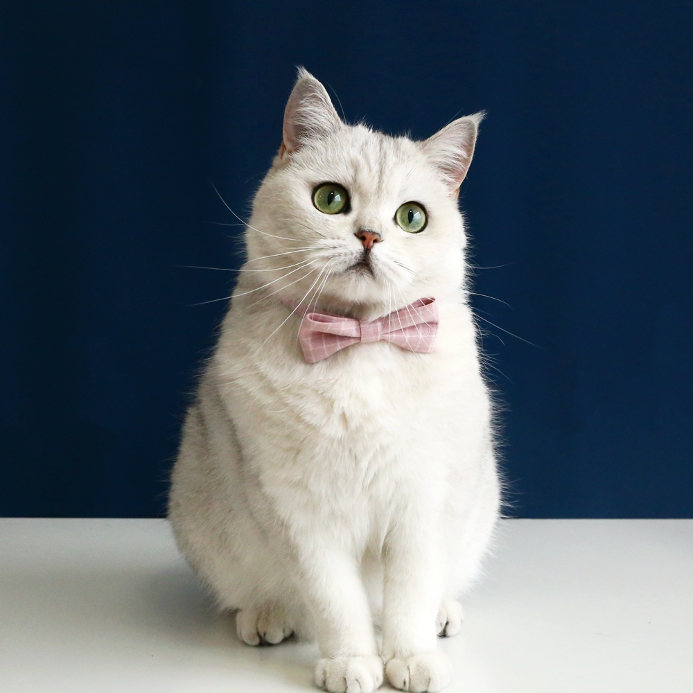 Vòng Cổ Caro / Nơ BướM An ToàN Cho Thú Cưng