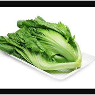 20gr Cải bẹ dưa cao sản