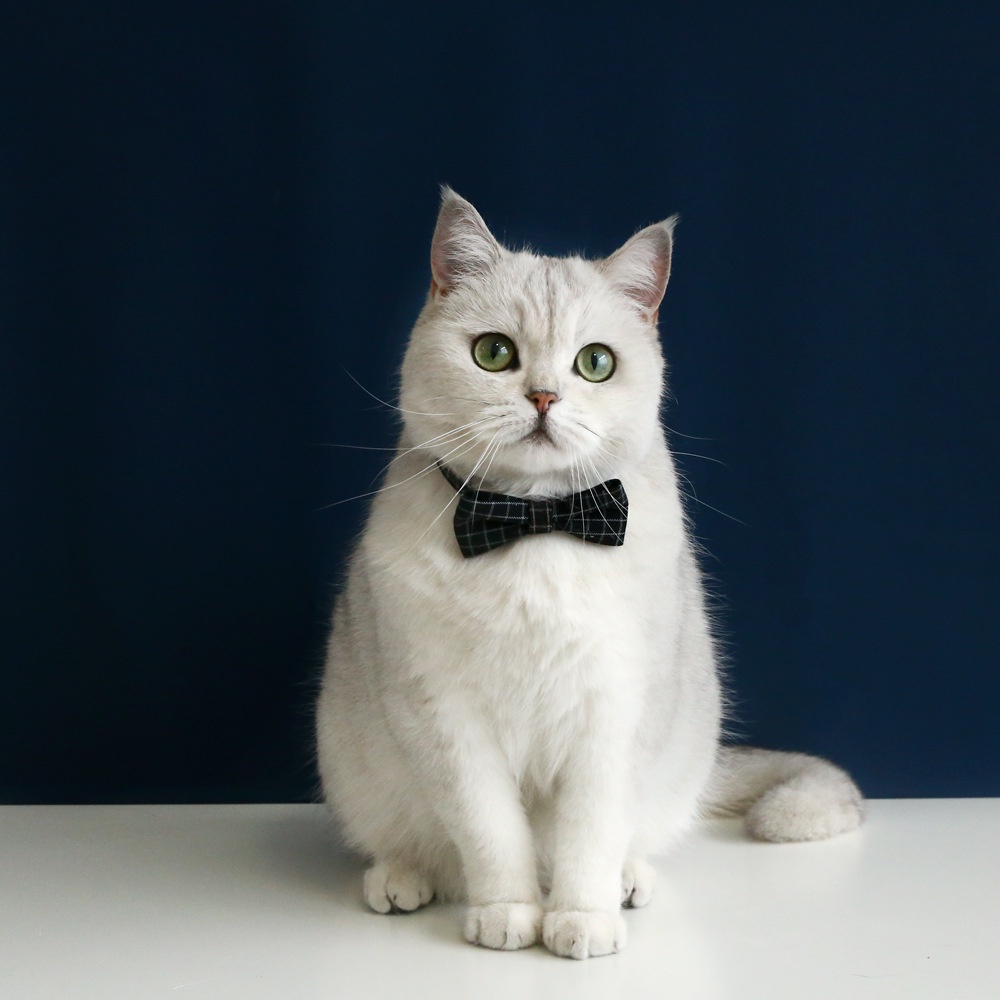 Vòng Cổ Caro / Nơ BướM An ToàN Cho Thú Cưng