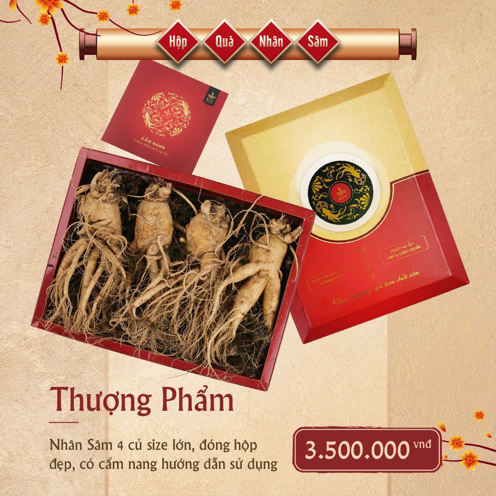 [ Quà Tết ] Nhân Sâm Tươi Hàn Quốc Thượng Phẩm