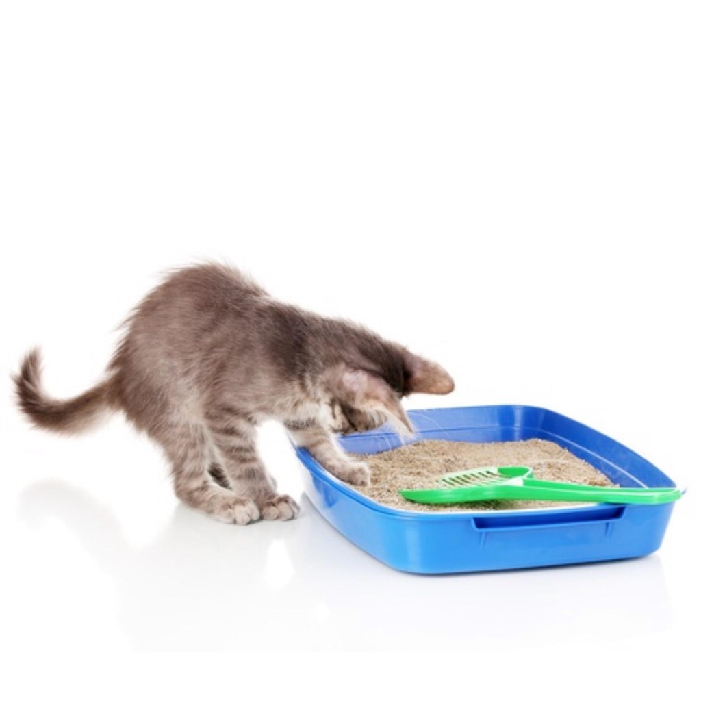 Cát đất sét vệ sinh cho mèo Maneki Neko - Cát sệ sinh Litter túi 5 lít (Hương Socola Chuối)