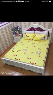 Bộ ga chun + 2 vỏ gối thanh lý