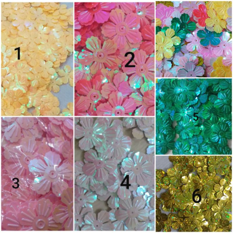 100g hoa kim sa làm cây kim tiền