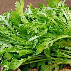 Hạt Giống Rau Tần Ô (20g)