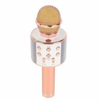 Micro Hát Karaoke Bluetooth 3in1 Kèm Loa Ws858 - LB8793 full hộp