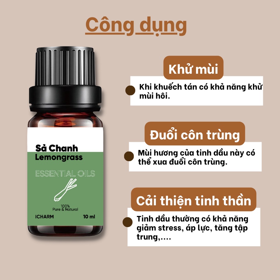 Tinh dầu sả chanh 10ml, 50ml iCHARMvn - không chất tạo mùi, nguyên chất 100%