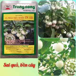 Hạt Giống Cà Pháo Trắng (1g)
