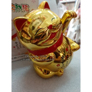 MÈO CHIÊU TÀI MAY MẮN