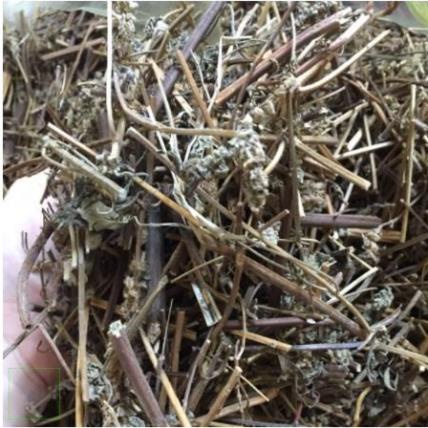 1kg Cây Kinh giới khô hàng loại 1 thơm ngon