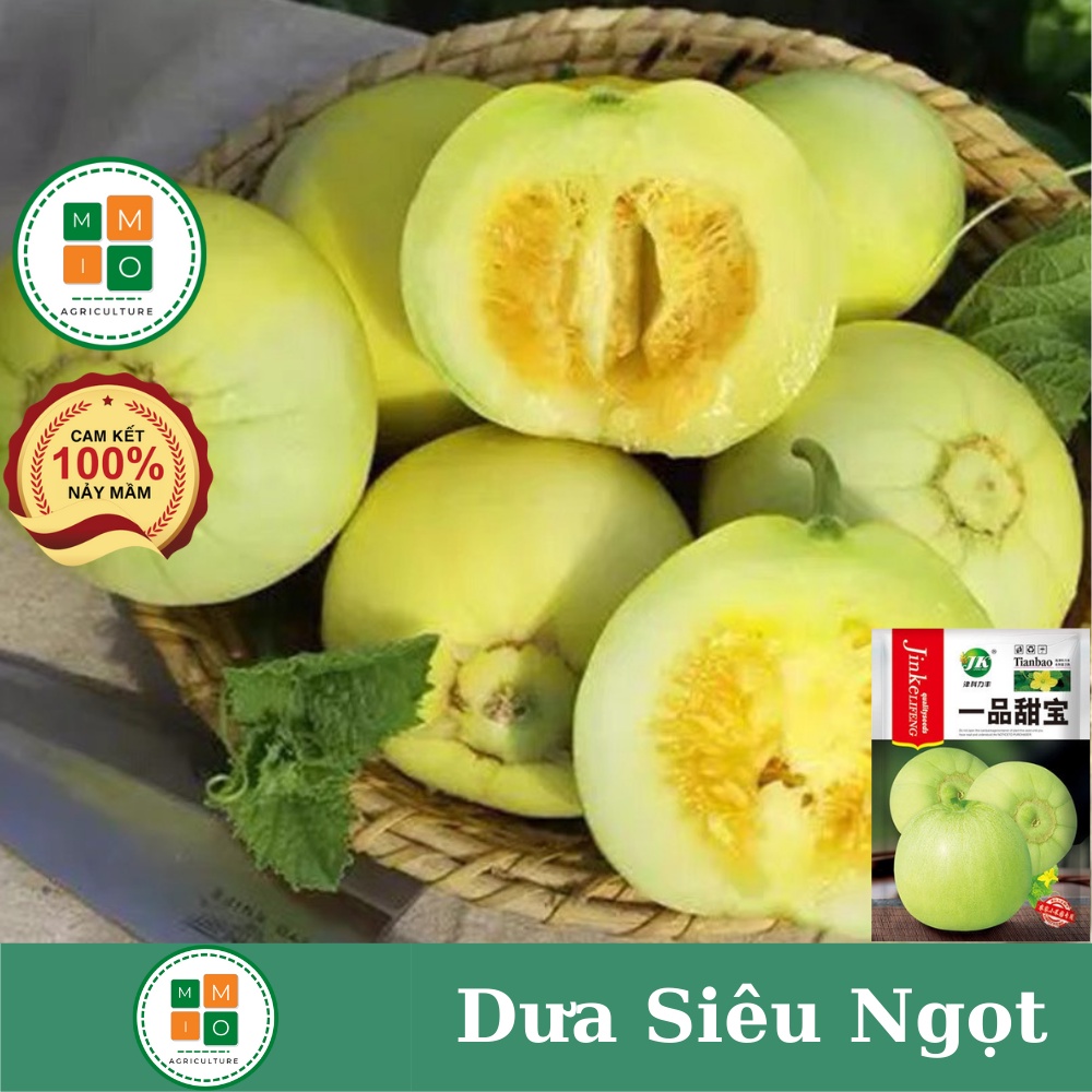 Hạt giống dưa lê siêu ngọt