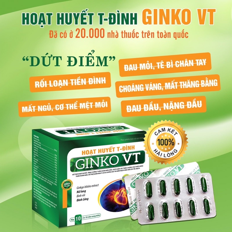 Hoạt huyết T - đình Ginko VT hộp 100 viên