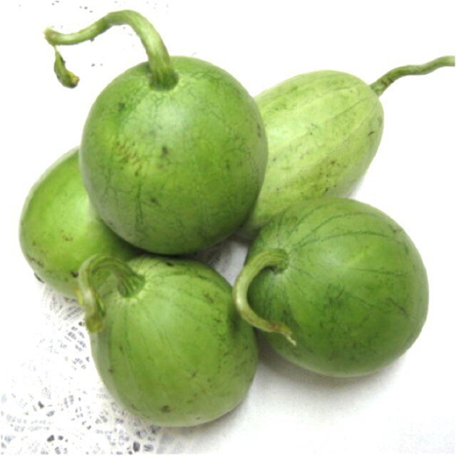 HẠT GIỐNG DƯA HẤU NỤ, DƯA CANH - GÓI 5 GRAM
