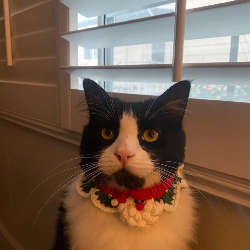 Christmas collar