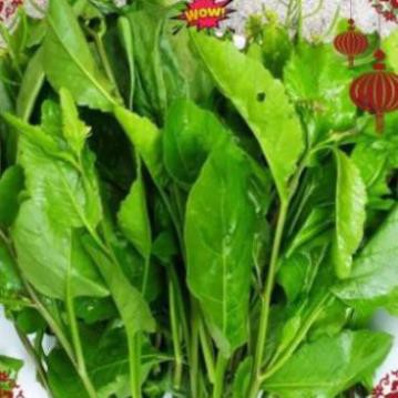 500gr cây cải trời khô trị bướu cổ hàng loại 1 thơm ngon