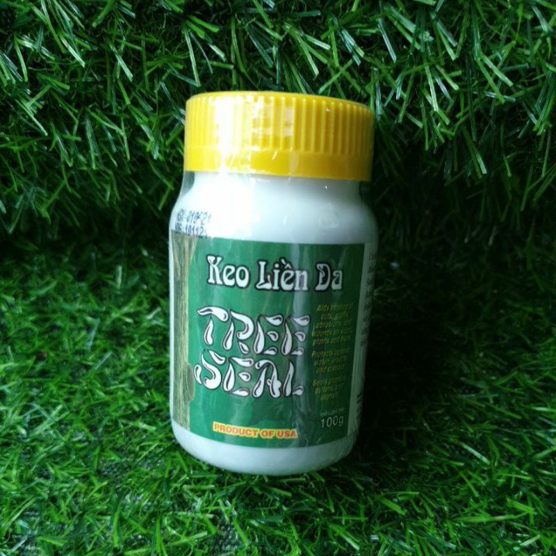 KEO LIỀN DA CÂY TREE SEAL, Keo Liền Sẹo Mỹ Morrisons