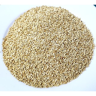 Hạt Quinoa (hạt Diêm Mạch)- nhập khẩu Peru, 500g
