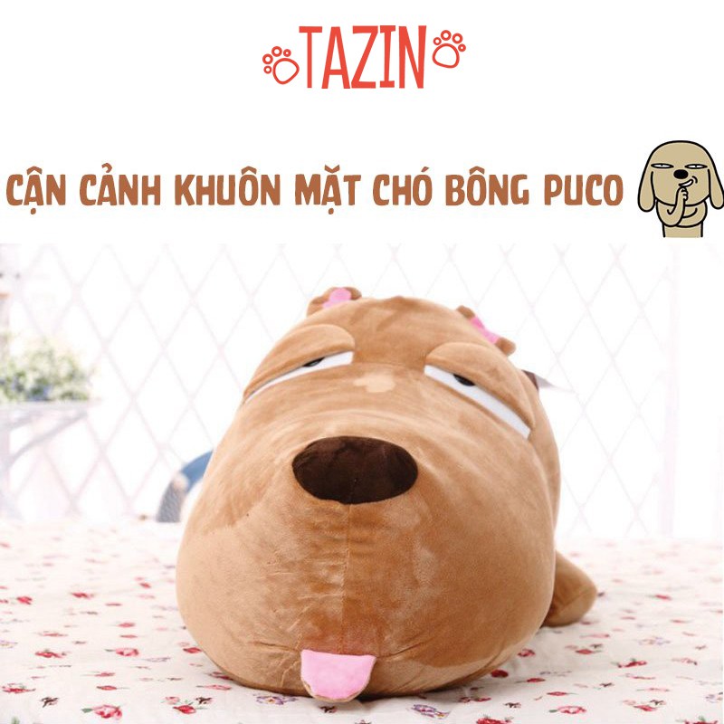 Chó Bông Puco - Thú Nhồi Bông Chó Puco Cao Cấp Tazin