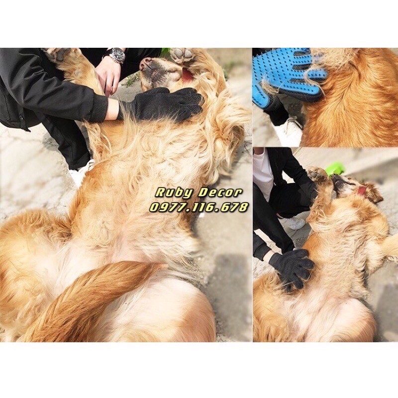 Găng Tay Chải Lông Lấy lông Rụng Cho Chó Mèo (màu ngẫu nhiên)