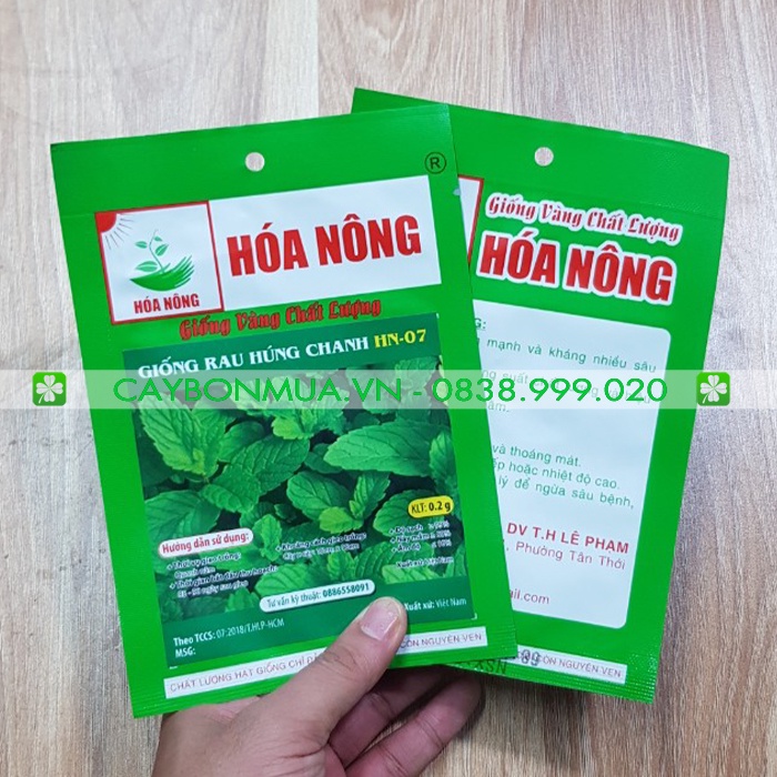 Giống Rau Húng Chanh [Giống vàng chất lượng] Gói: 0,2gr