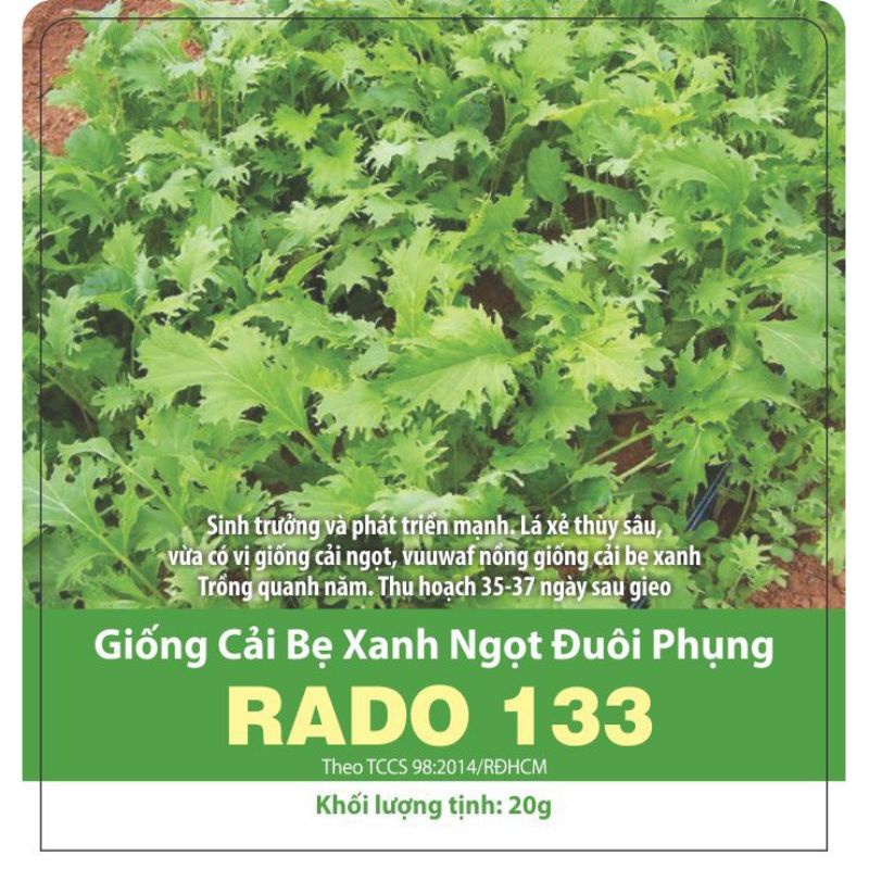 Hạt Giống Cải Bẹ Xanh Ngọt Đuôi Phụng Rado 133, đóng gói 20gr