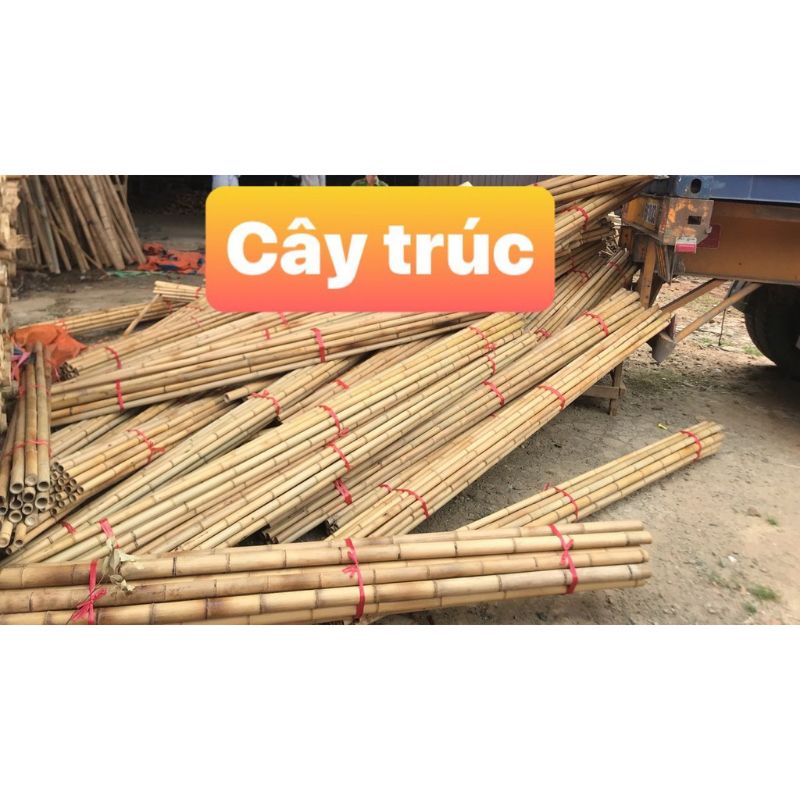 Cây tre trúc dài 1,2m thẳng đẹp, cọc cắm trại