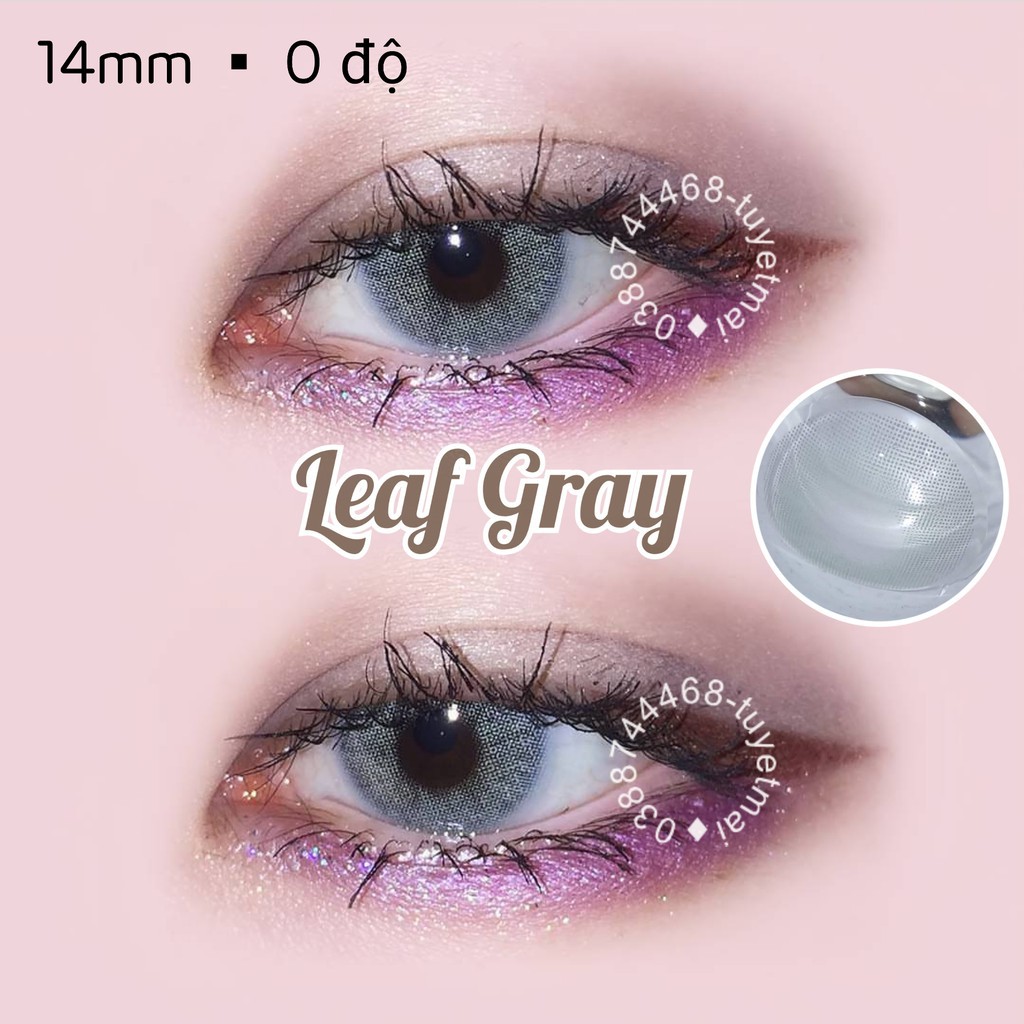 Leaf Gray 14mm 0 Độ - Lens Xám Xanh - Kính Áp Tròng Nhập Khẩu Hàn Quốc