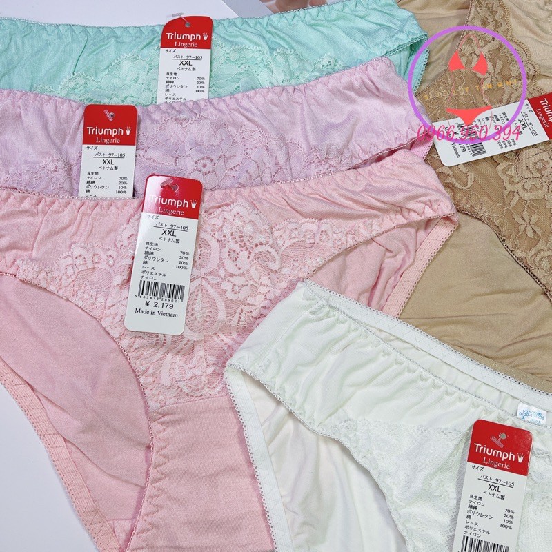 Quần lót nữ cotton dày dặn phối ren dày xịn hàng VIệt Nam chất lượng cao Set 10 cái