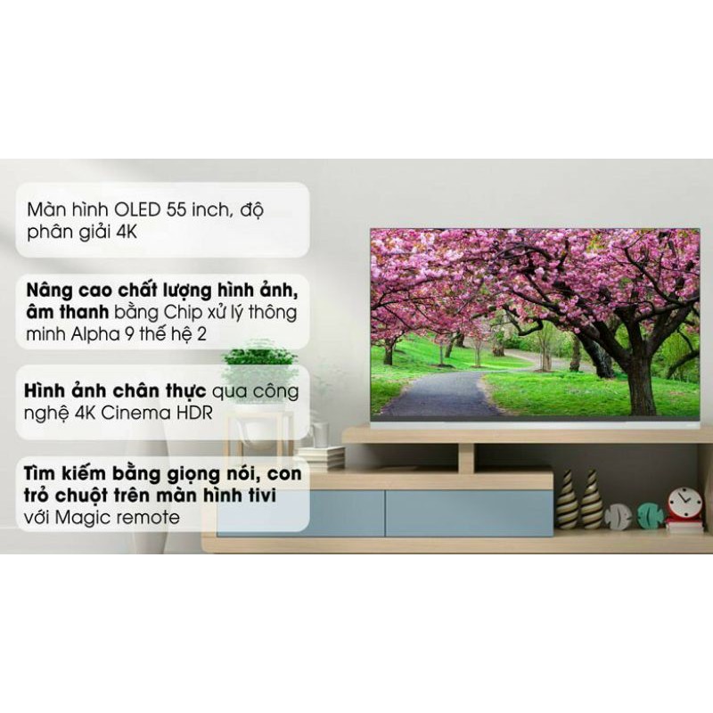 Smart Tivi OLED LG 4K 55 inch 55E9PTA.FULLBOX