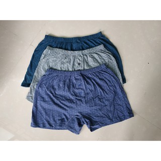 Quần ngủ nam thun cotton, quần ngủ nam thun mát LN093 ( bộ 2 quần)