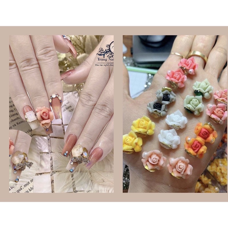 Hoa hồng bột nail