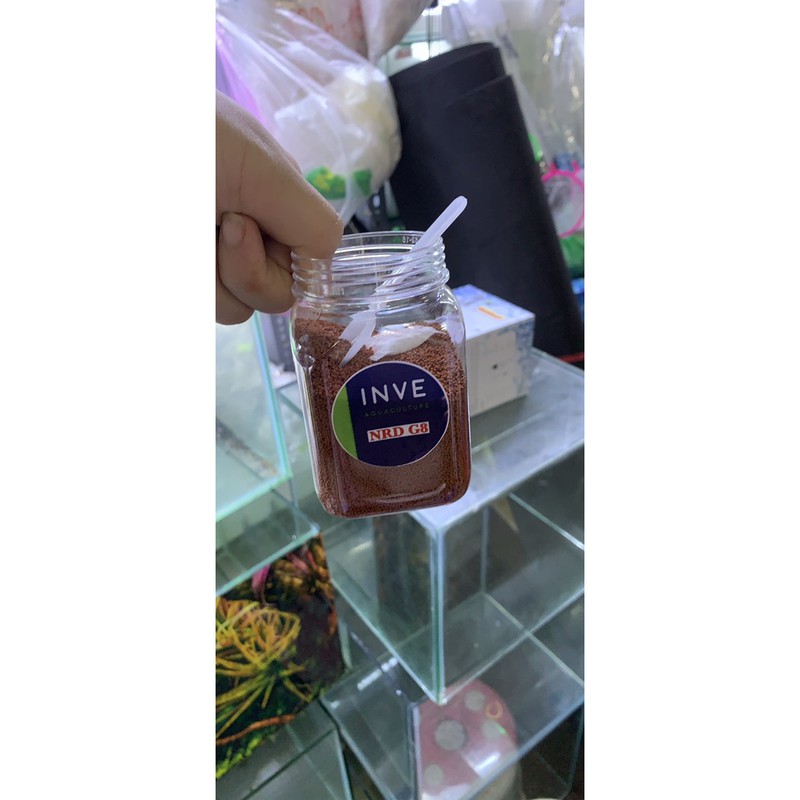 Cám Thái INVE 3/5 5/8 8/12 P10 | 500g 1kg ]