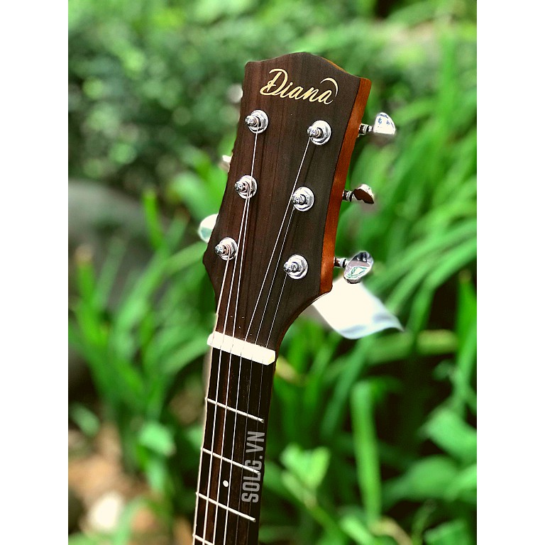 Guitar Acoustic Diana D815NM - Gỗ Bách Tùng Nguyên Tấm -Sol.G