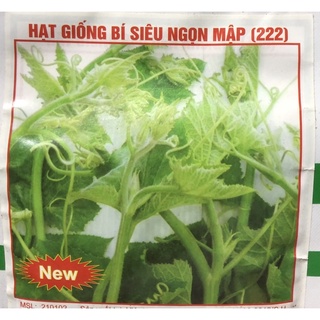 Hạt giống bí siêu ngọn / Ngọn to - Siêu mập 🍀