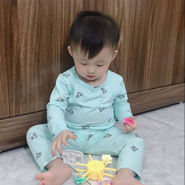 Combo 4b thun lạnh gấu