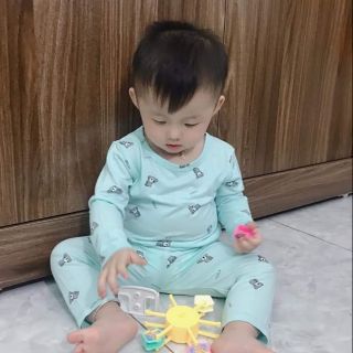 Combo 4b thun lạnh gấu