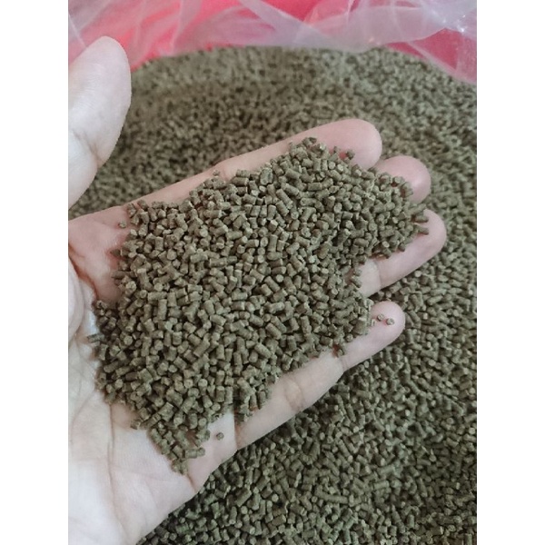 1kg#cám#tomboy3#(dạng#hạt#chìm)dùng#cho#cá#tép#tôm#cuử#sừng#lahán#cuửsừng#rùa