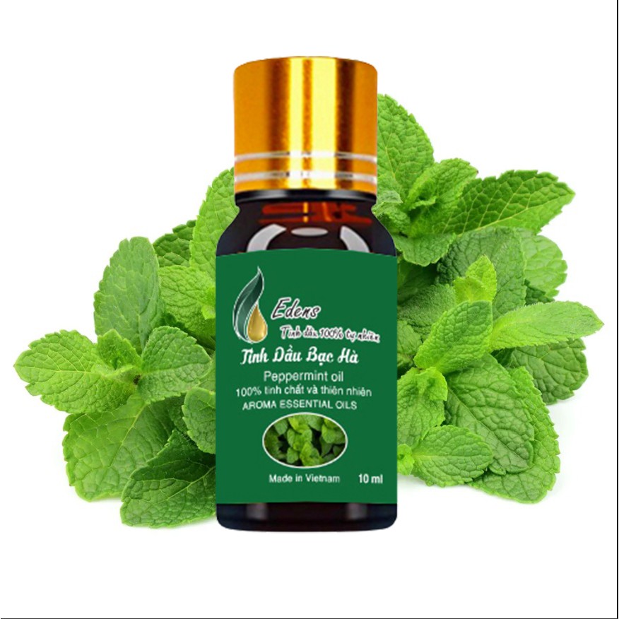 Tinh Dầu Bạc Hà 10ml Nguyên chất 100% từ Thiên Nhiên của Viện hàn lâm