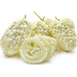 Hạt giống Khổ qua bạch tuyết - 1 gói 5 hạt - Kèm 3 viên nén ươm hạt