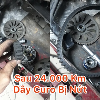 Dây curo Vison 2014 - 2020